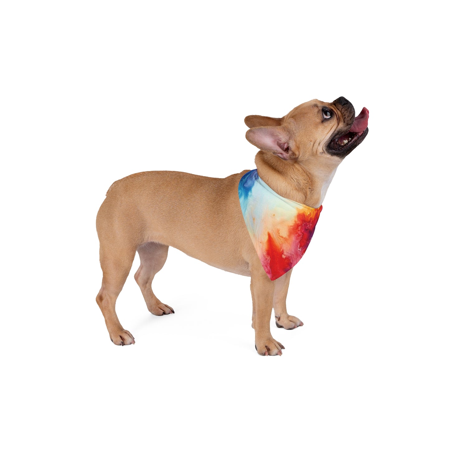 Pet Bandana - Tye Dye Pet Bandana PB001