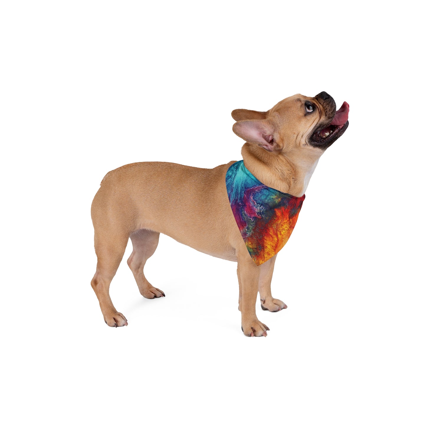 Pet Bandana - Tye Dye Pet Bandana PB002