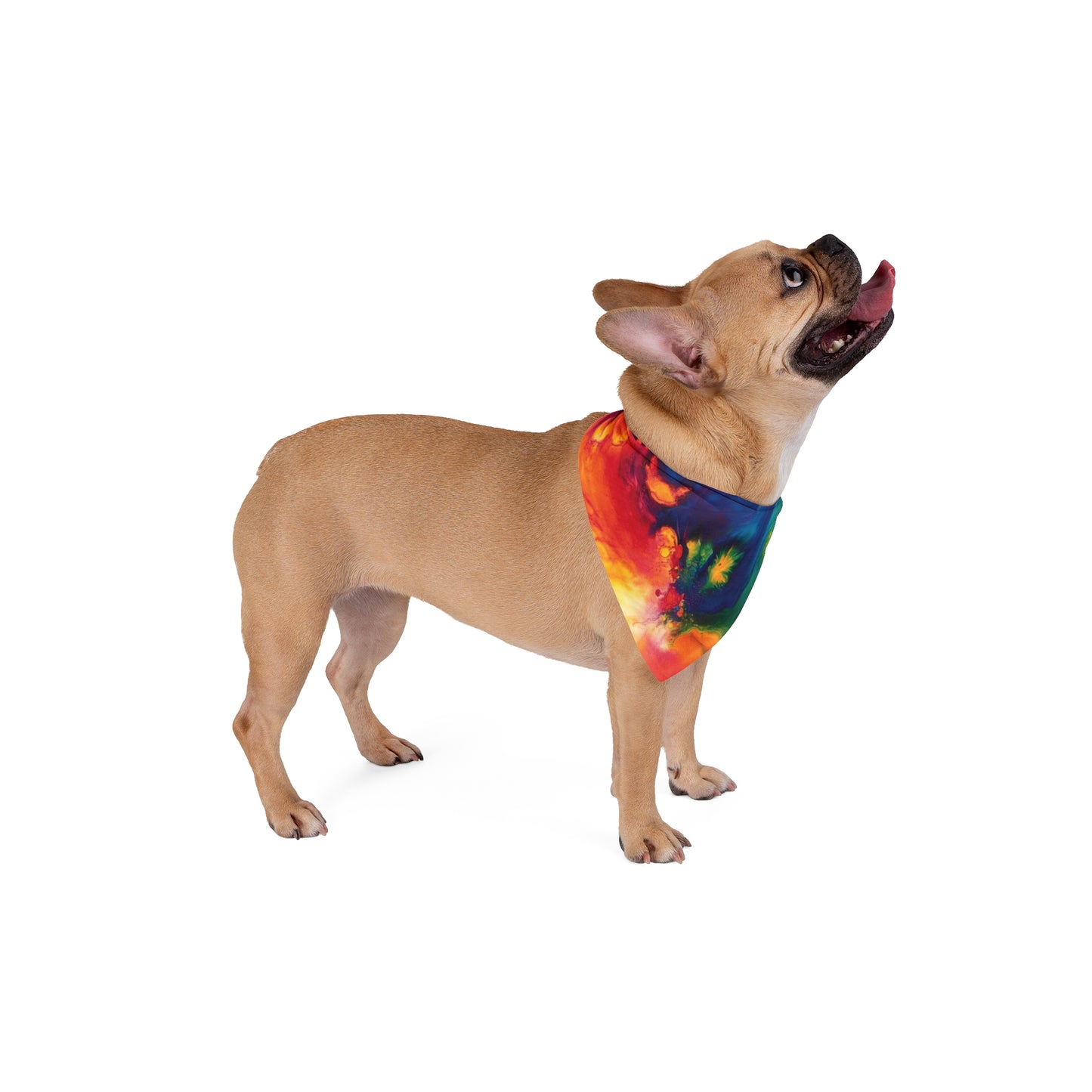 Pet Bandana - Tye Dye Pet Bandana PB003