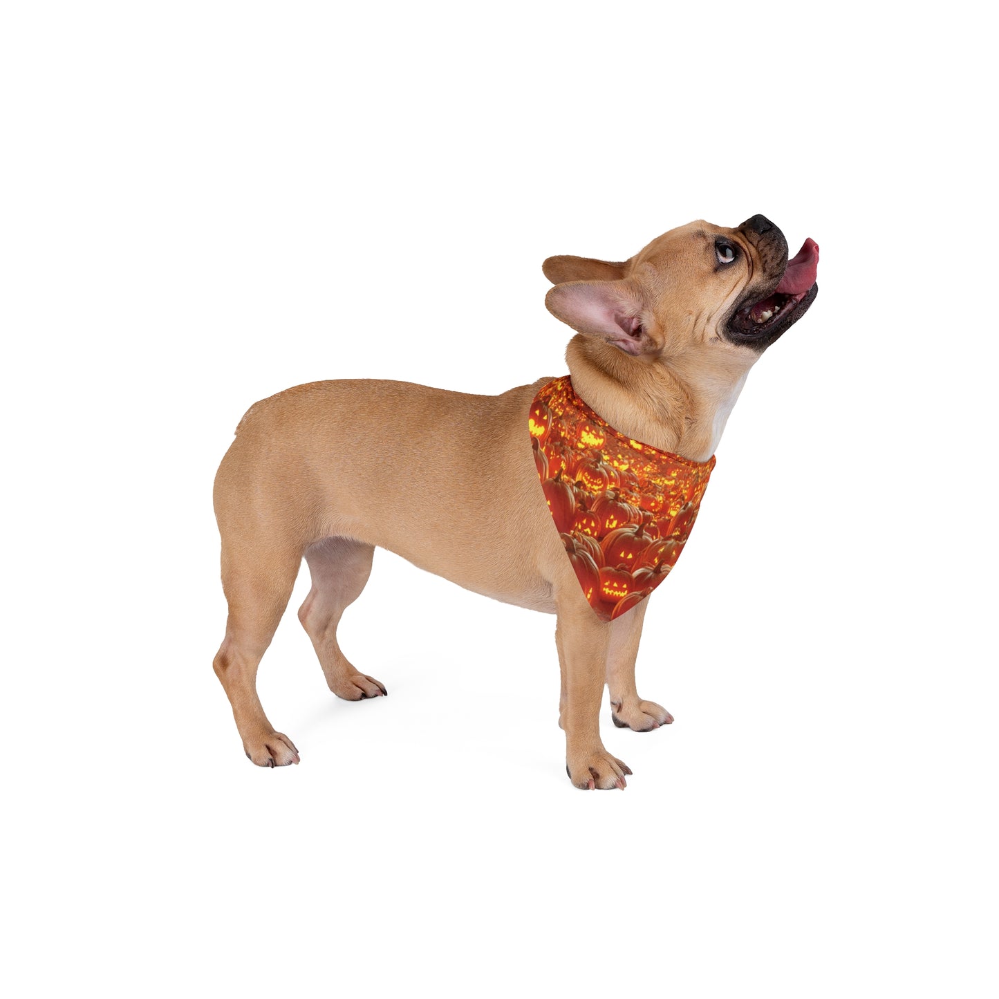 Pet Bandana - Halloween Pet Bandana PB006