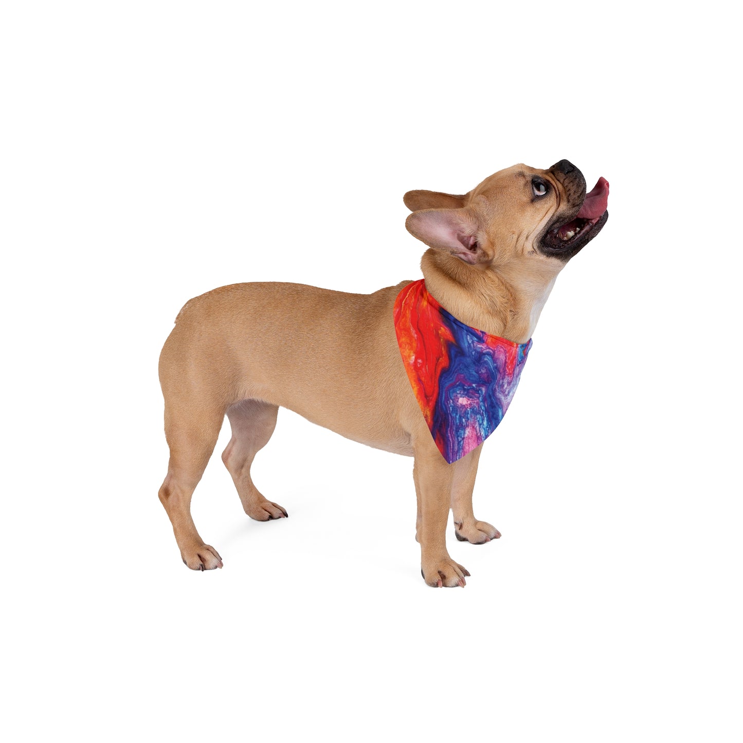 Pet Bandana - Tye Dye Pet Bandana PB004