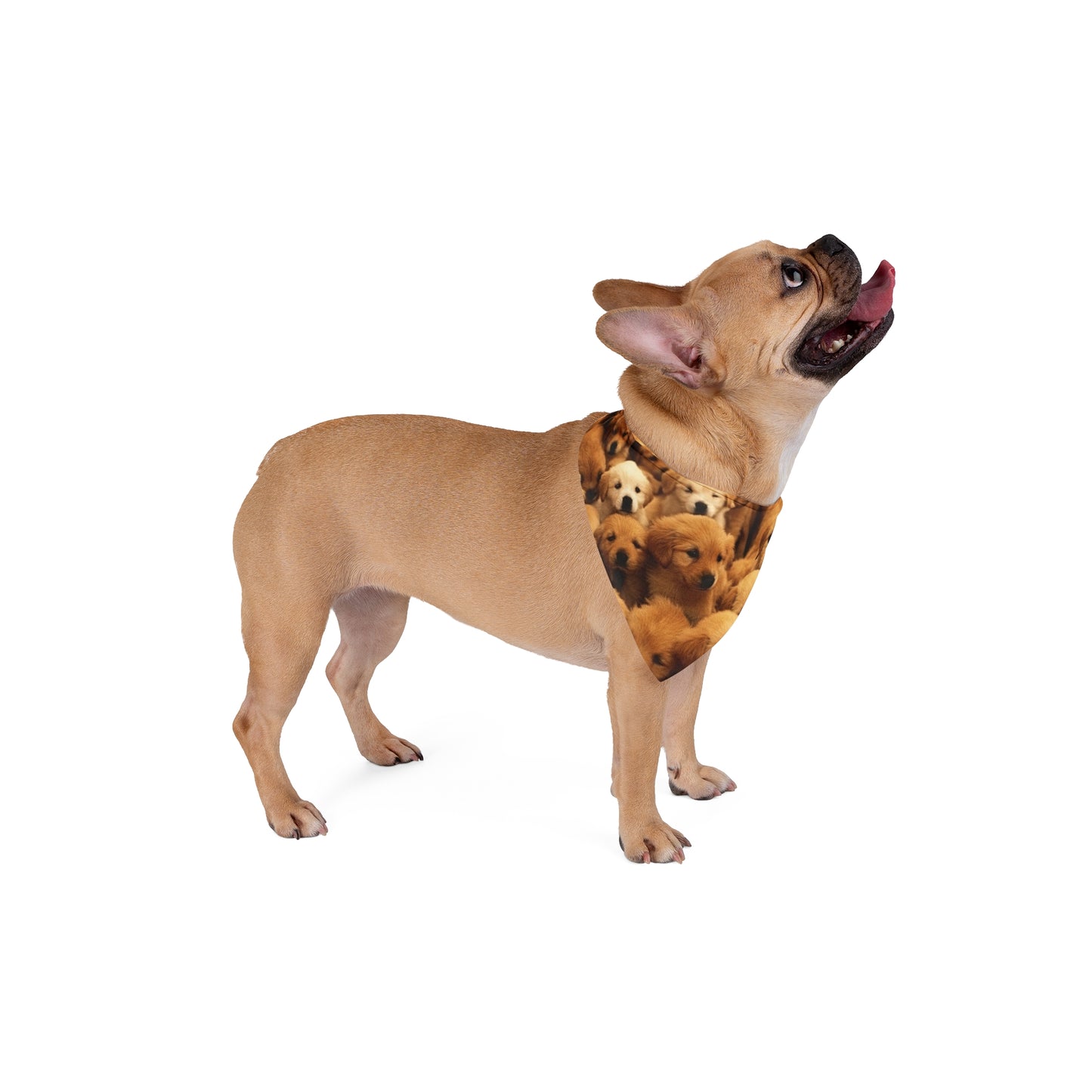 Pet Bandana - Dogs Pet Bandana PB008
