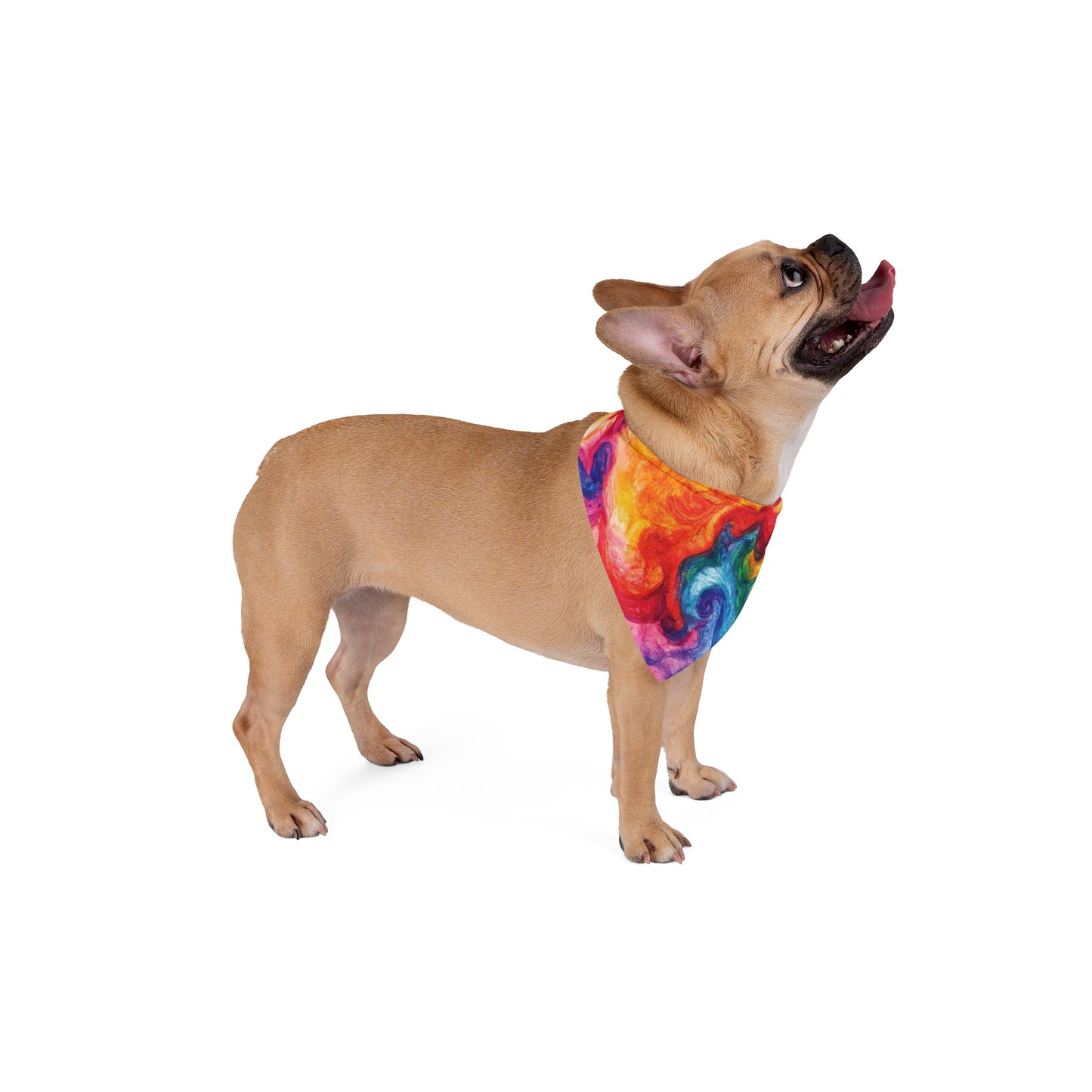 Pet Bandana - Tye Dye Pet Bandana PB103