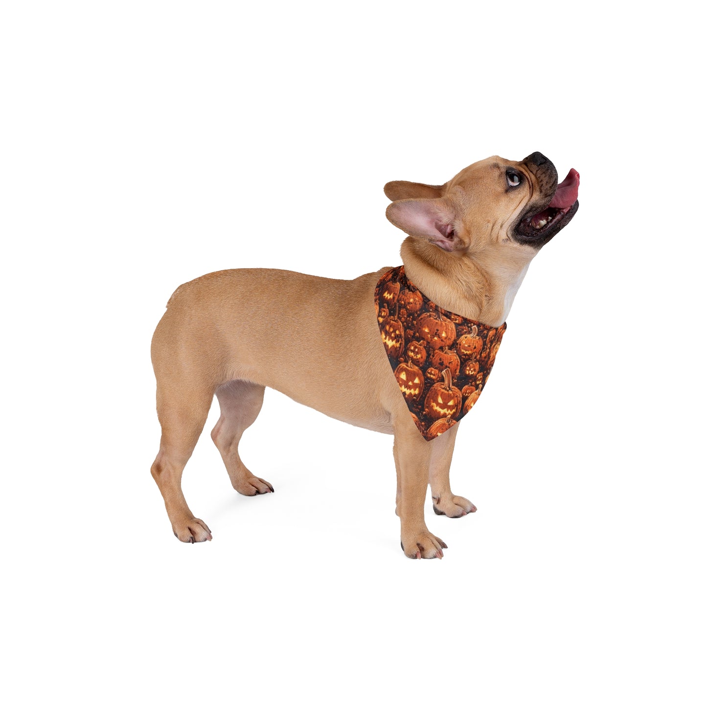 Pet Bandana - Halloween Pet Bandana PB010
