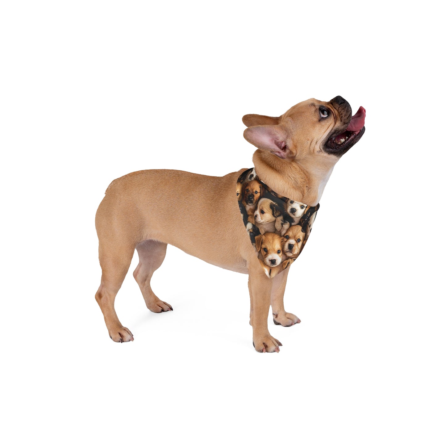 Pet Bandana - Dogs Pet Bandana PB009