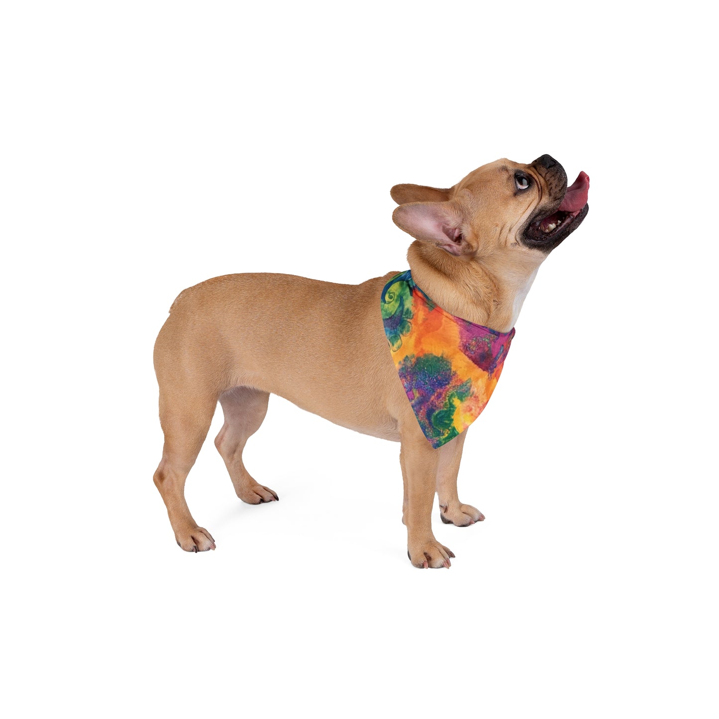 Pet Bandana - Tye Dye Pet Bandana PB104