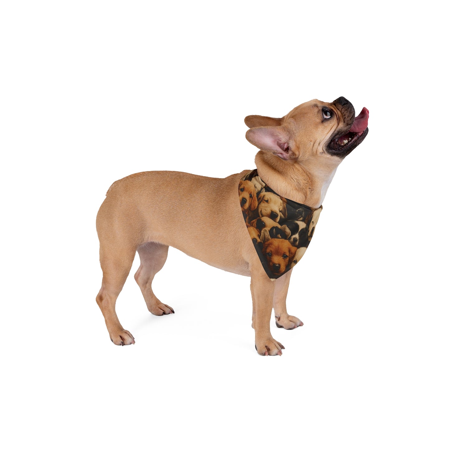 Pet Bandana -Dogs Pet Bandana PB007